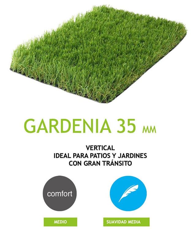 Sevigrass garnedia 35 mm