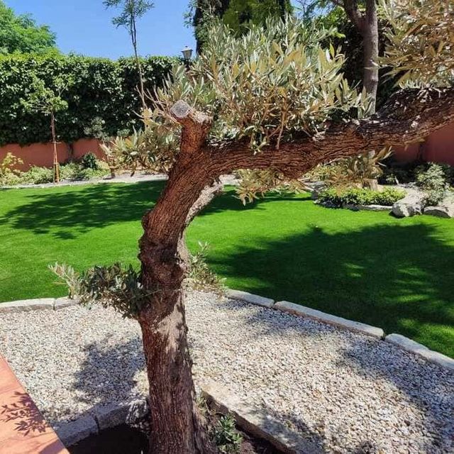 Sevigrass zonas verdes con césped artificial